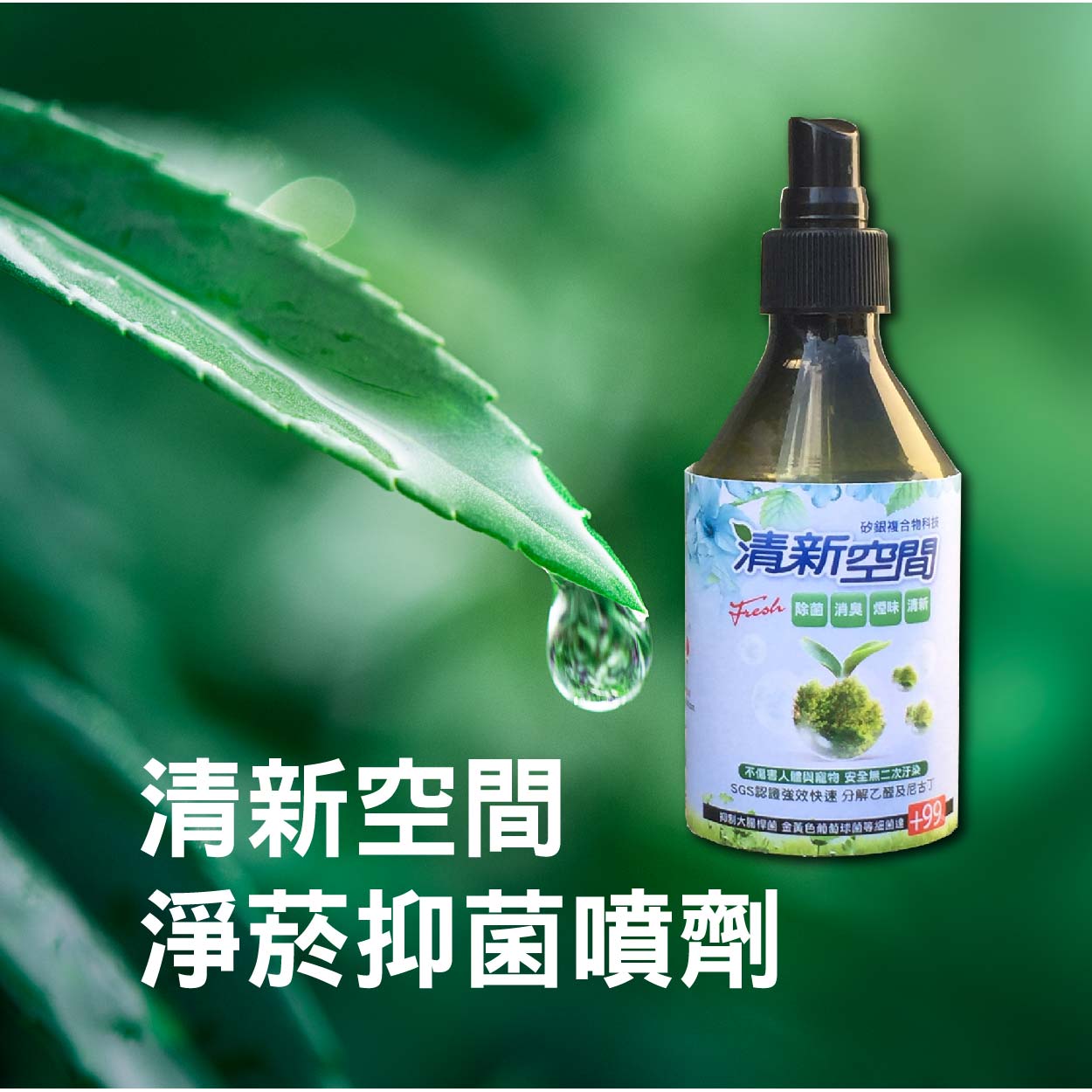 清新空間淨菸抑菌＿煙味＿空氣芳香抑菌＿汽車保養